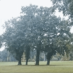 Manuel Rodríguez Valenzuela